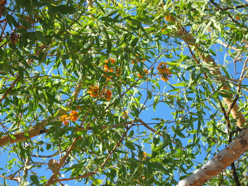 territorytour/photos/day10/IMG_7441.JPG